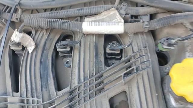 Троит лада икс рей смотреть онлайн