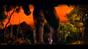 Иконы животного мира