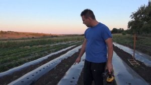 Инструмент для прокалывания мульчирующей пленки.(перфорация мульчирующей пленки)