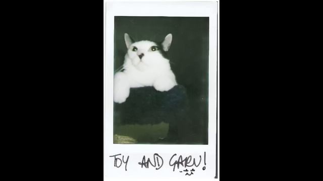 Fujifilm Instax Mini 7s смотреть онлайн