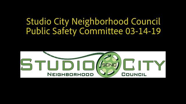 Public Safety Committee 03 14 19