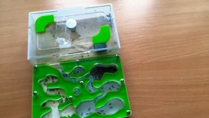 Мои первые муравьи 🐜 Жнецы