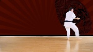 Empi (SLOW) - Shotokan Karate Kata JKA