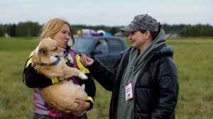 КУРСИНГ. Первый забег клуба DogRun. Репортаж от 11 сентября 2022 года