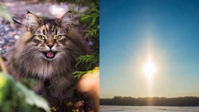 29 ноября. Народный праздник - Матвеев день. Народные приметы. смотреть онлайн