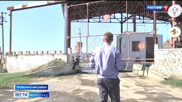 Россельхознадзор инспектирует птицефабрики без взаимодействия