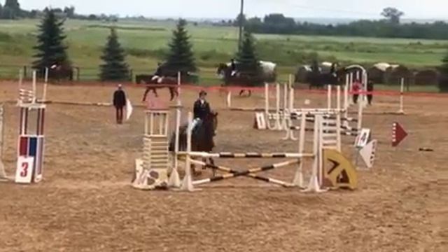 Полочаны июль 2017 конкур до 105 см смотреть онлайн