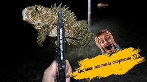 Сколько же там скорпены ???