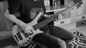 Slayer - Raining Blood (bass cover)