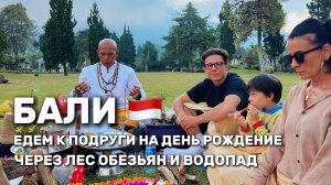 влог Бали: дикий лес обезьян, водопад Nungnung.