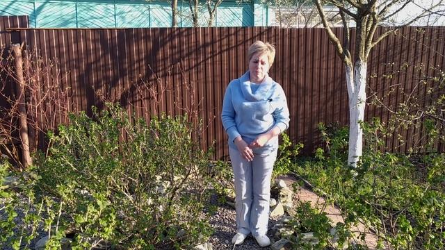 ОСНОВНЫЕ РАБОТЫ В САДУ И ОГОРОДЕ В МАЕ!