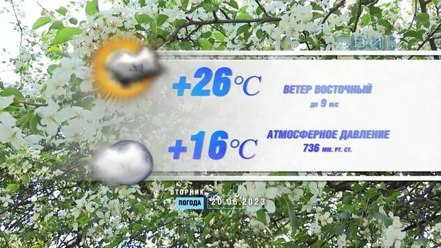 Погода зеленогорск ленинградская область на 10 дней. Прогноз погоды на 2023. Прогноз погоды Зеленогорск.