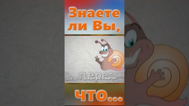 Знаете ли Вы, Что? Улитка