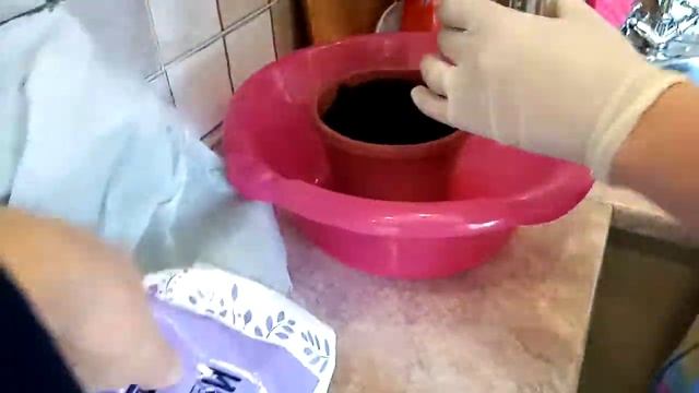 Пересаживаем ёлку Коника Первый опыт смотреть онлайн