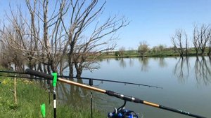 Рыбалка в Краснодарском крае. Ловля карпа.Ловили с сыном и получили море удовольствия!