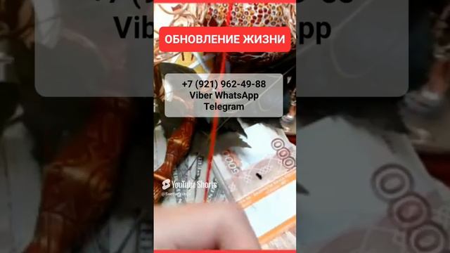 НОВАЯ ЖИЗНЬ ДЕНЬ ИВАНА КУПАЛА #онлайн #ритуал #shorts #светланаведа