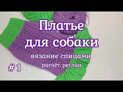 Как связать Платье для собак спицами. Часть 1 - Расчет, Реглан