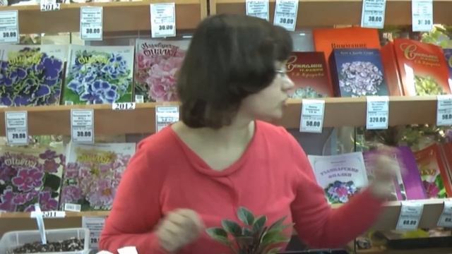 ДФ.Минифиалки на капиллярных матах (Н.Старостенко) смотреть онлайн