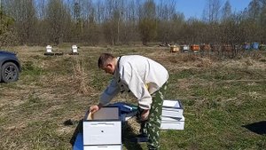 Мой первый улей ППС на пасеке. Так ли хороши ППС  ульи. Полный обзор улья от компании "пеноулик".