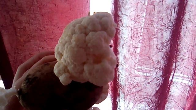 Идея поделки для детского сада смотреть онлайн