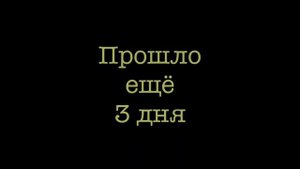 Дуб монгольский. Как вырастить дуб из жёлудя. Часть 2