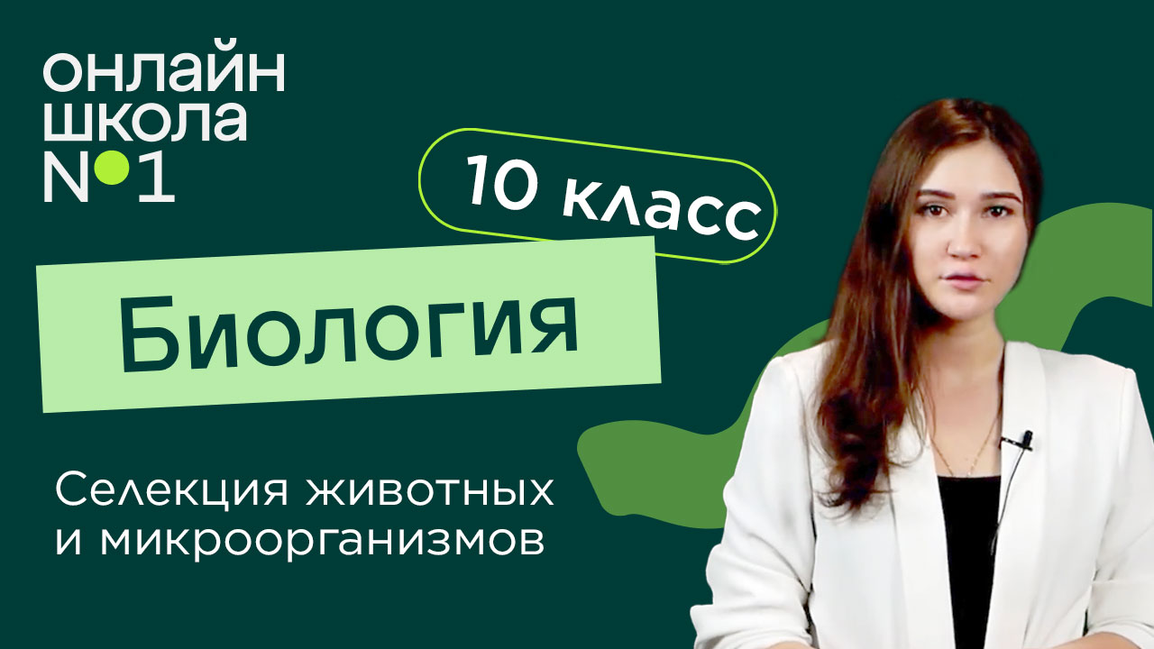 Селекция животных и микроорганизмов. Биология 10 класс. Видеоурок 34