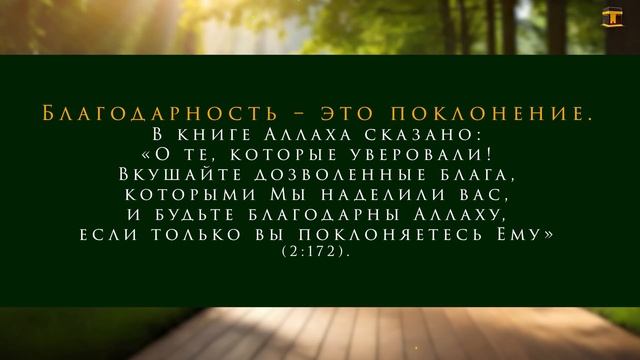 Дуа Утром Благодарность Аллаху - ОЧЕНЬ МНОГО ПОЛЬЗЫ СЛУШАЙТЕ ЭТО ДУА УТРОМ