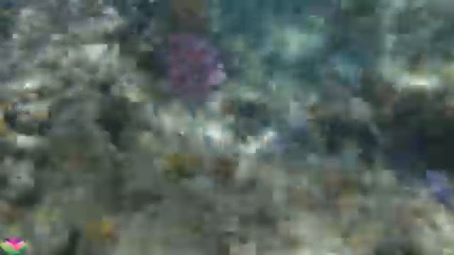 Расслабляющая музыка для души 🌿 Музыка успокаивает нервы, лечит бессонницу и полезна для сердца #95 смотреть онлайн