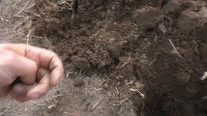 Показываю, КАК ИСКАТЬ жирные места с находками! ?️