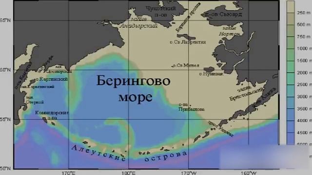 Исследуем Берингово море: Океанолог Михаил Флинт о гидросфере и географии северного Тихого океана