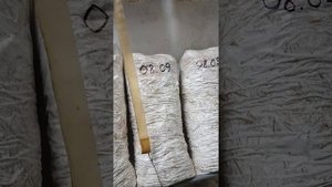 Помещение для выращивания Вешенки. 3 месяца в закрытом подвале без вентиляции и света.