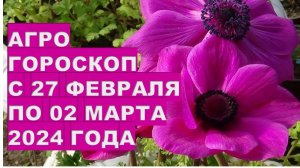 Агрогороскоп с 27 февраля по 02 марта 2024 года Agrohoroscope from February 27 to March 2, 2024