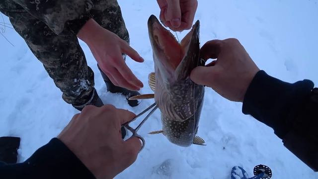 РЫБАЛКА НА ЖЕРЛИЦЫ В ПЕРВЫЕ ДНИ ФЕВРАЛЯ. смотреть онлайн