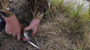 Спиннинг с берега 2019 на Новопятигорском озере