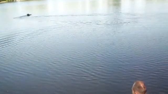 Самодельный карповый кораблик Пирамида. небольшие испытания. смотреть онлайн