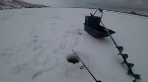 ЭТА БЛЕСНА ВСЕГДА СПАСАЕТ ОТ БЕЗКЛЁВЬЯ/ РЫБАЛКА НА СУДАКА