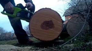 Аккумуляторная цепная пила GreenWorks DigiPro тестируем на ясене Ф40 см