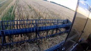 Уборка 2021. Мещера - 403. Massey ferguson 6713 с прицепной жаткой Палессе СТ 70. Будни тракториста