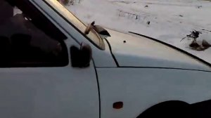 ЕЗДА по снегу на ОКЕ