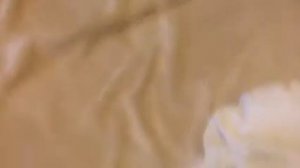 Я сделал домик для кота из подушек и одеял