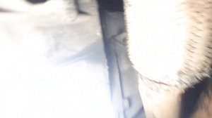 #KIAMagentis#КАК СНЯТЬ ГЕНЕРАТОР