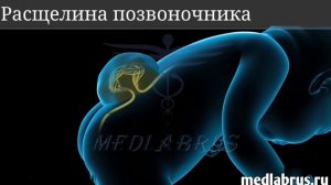 Фолиевая кислота или витамин группы Б, во время беременности