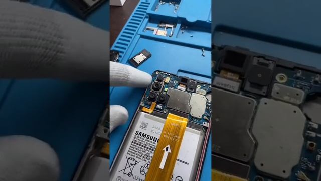 SAMSUNG GALAXY M31S сколько камер? смотреть онлайн