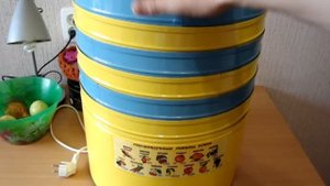 Сушилка для грибов, овощей и фруктов ЭЛВИН ЭСФО - 1 + приготовления сушёных груш и бананов