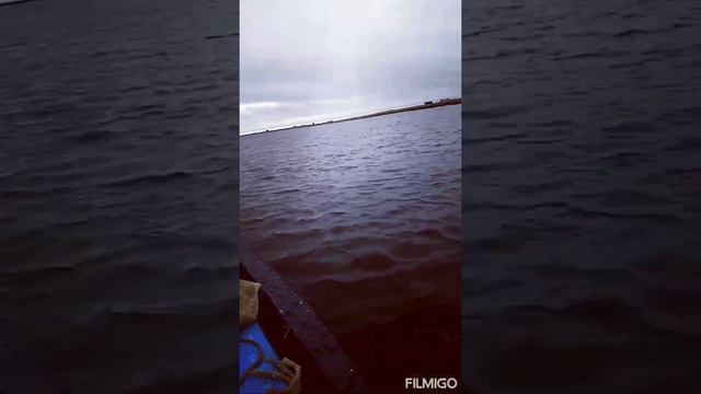 река Сеяха