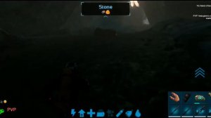 Изи приручени аранео и артоплевры Арк Мобайл