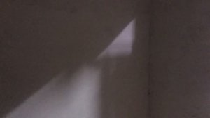 Зимний домик для рыбалки и охоты, продолжаем строить домик.