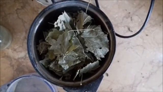 Видео для улитководов/Как я делаю травосмесь смотреть онлайн