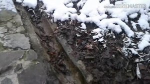 Исток реки Кальмиус (зимнее время)