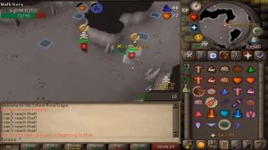 This New 200 IQ RuneScape Bot Can Do Everything